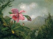Martin Johnson Heade Orchid and Hummingbird near a Mountain Waterfall painting